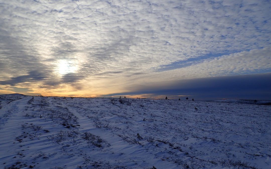 Raquetas de nieve – Portalet