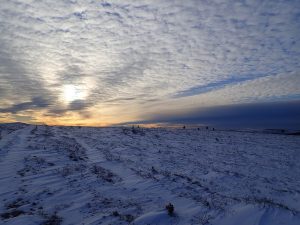 Lee más sobre el artículo Raquetas de nieve – Portalet