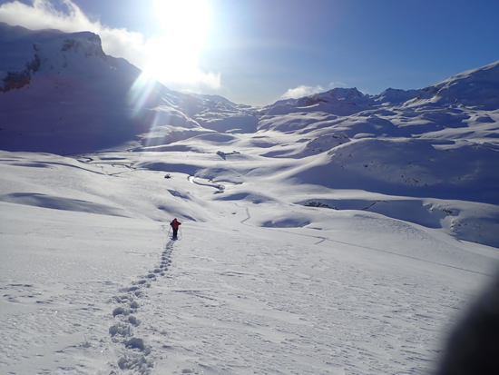 Raquetas de nieve